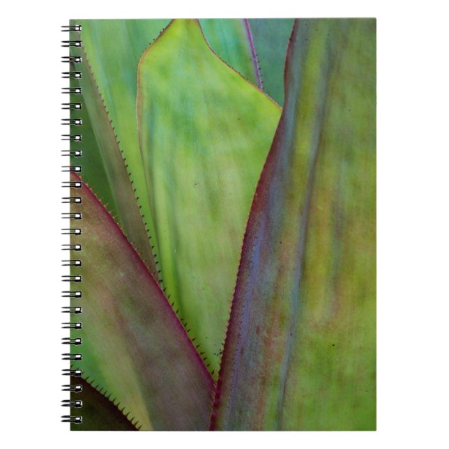 Agave Plant Detail Notebook (Front)