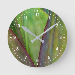 Agave Plant Detail Round Clock
