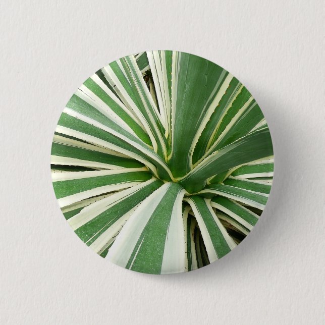 Agave Plant Green and White Striped 6 Cm Round Badge (Front)