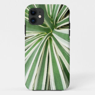 Agave Plant Green and White Striped iPhone 11 Case