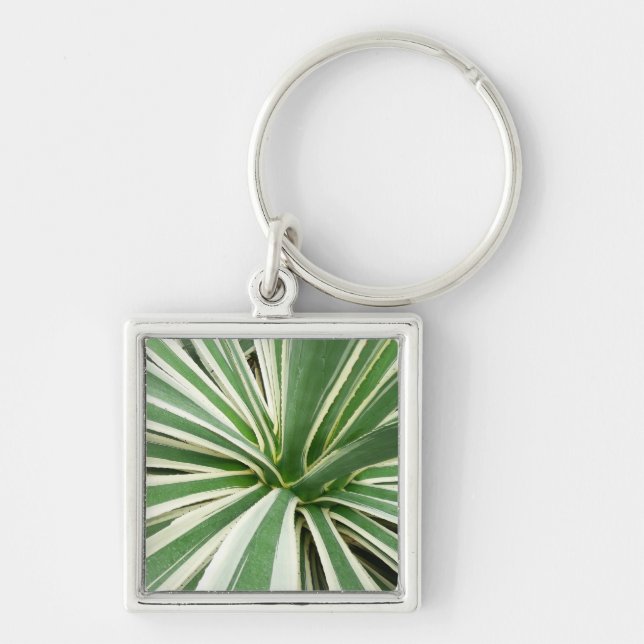 Agave Plant Green and White Striped Key Ring (Front)