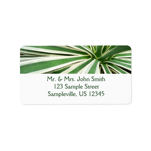 Agave Plant Green and White Striped Label (Front)