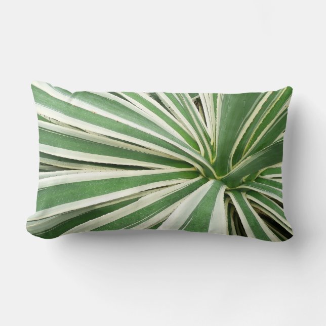 Agave Plant Green and White Striped Lumbar Cushion (Front)