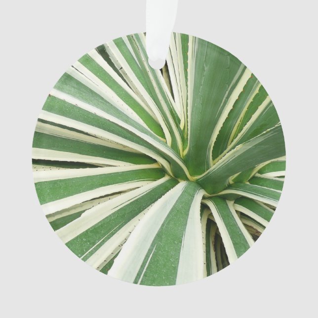 Agave Plant Green and White Striped Ornament (Front)