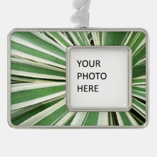 Agave Plant Green and White Striped Silver Plated Framed Ornament