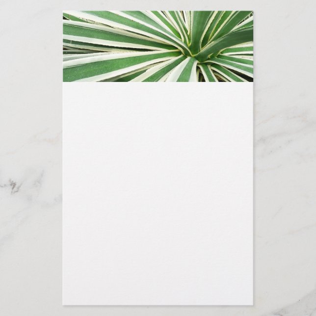 Agave Plant Green and White Striped Stationery (Front)