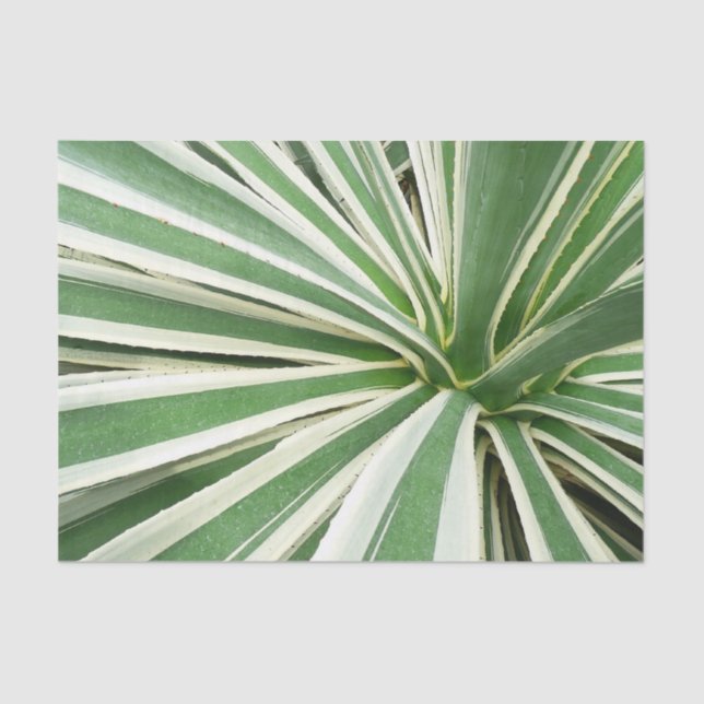 Agave Plant Green and White Striped Tissue Paper (Front)