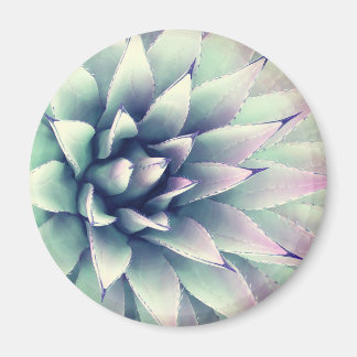 Agave Plant Magnet