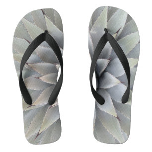 Agave Plant Succulent Blue Cacti Tequila Desert Flip Flops