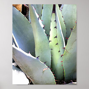 Agave Plant Succulent Blue Cacti Tequila Desert Poster