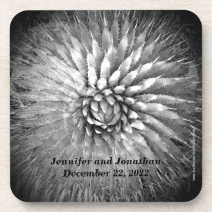 Agave Spikes Personalized Name B&W Set of 6 Coaster
