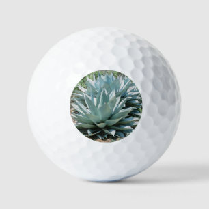 Agave Succulent Plant Cactus Green sage Golf Balls