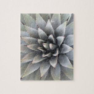 Agave Succulent Plant Cactus Green sage Jigsaw Puz Puzzle