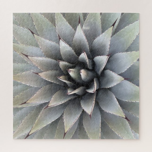Agave Succulent Plant Cactus Green sage Jigsaw Puzzle (Vertical)