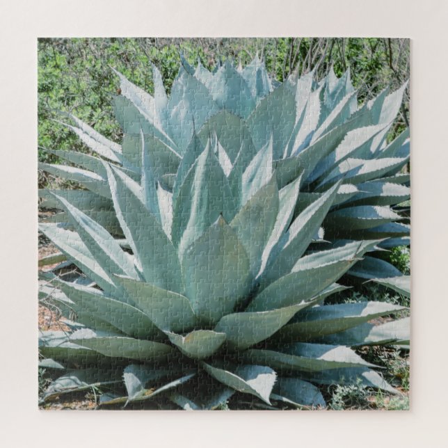 Agave Succulent Plant Cactus Green sage Jigsaw Puzzle (Vertical)