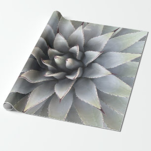 Agave Succulent Plant Cactus Green sage Wrapping Paper