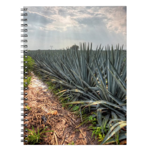 Agave Tequilana Notebook (Front)