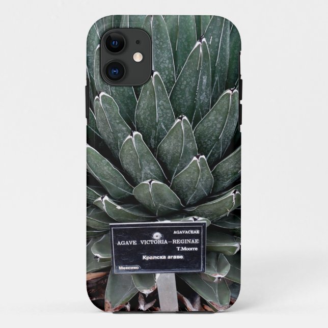 Agave Victoria Photo iPhone SE + iPhone 5/5S Case-Mate iPhone Case (Back)