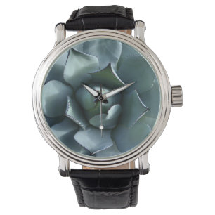 Agave Watch