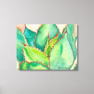 Agave Watercolor by Debra Lee Baldwin Canvas Print