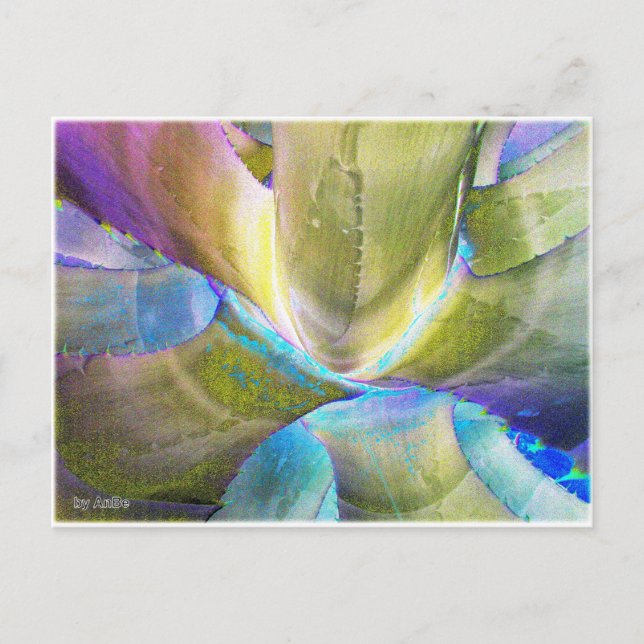 Agavemetall Postcard (Front)