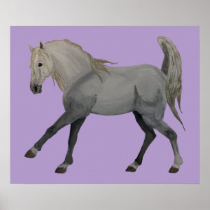 Age of Equestrian Poster