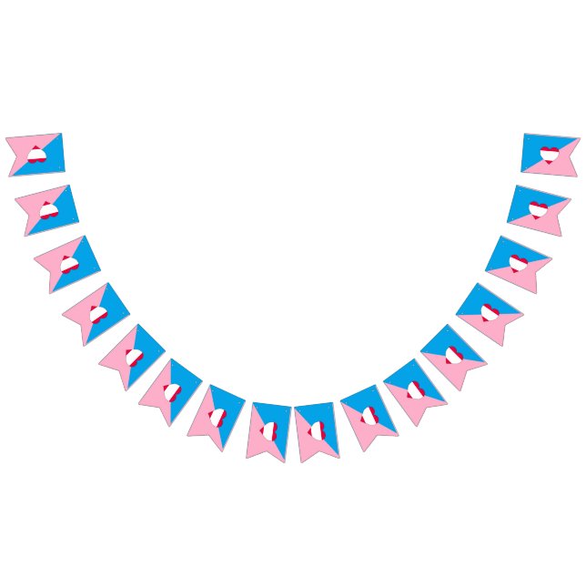 Age Play Pride Flag (All)