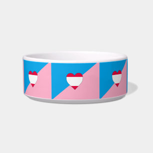 Age Play Pride Flag Bowl