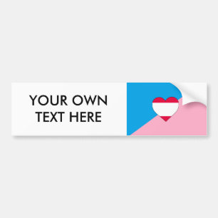 AGE PLAY PRIDE FLAG BUMPER STICKER