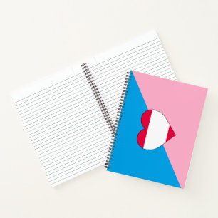 Age Play Pride Flag Notebook