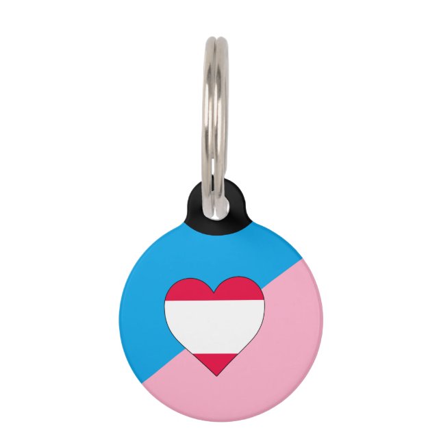 Age Play Pride Flag Pet Tag (Front)