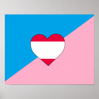 Age Play Pride Flag Poster