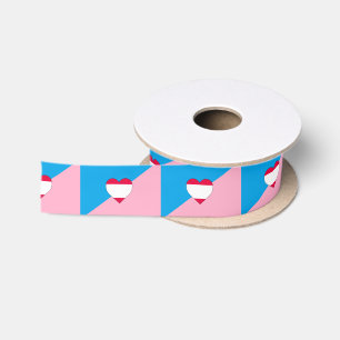Age Play Pride Flag Satin Ribbon