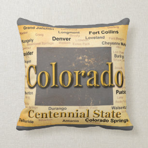 Aged Colorado State Pride Map Silhouette Cushion