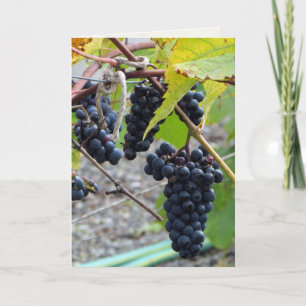 Aged to Perfection Card