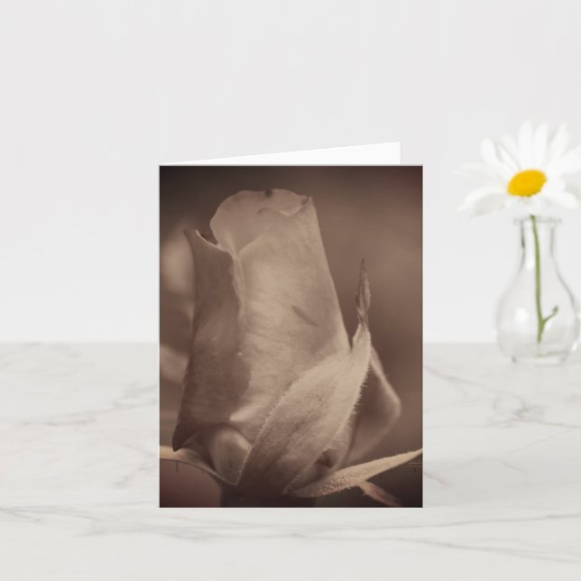 Aged Vintage Sepia Rosebud Flower Note Card (Small Plant)
