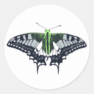 Agender Flag Swallowtail Butterfly Classic Round Sticker