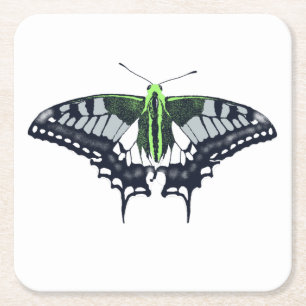 Agender Flag Swallowtail Butterfly Square Paper Coaster
