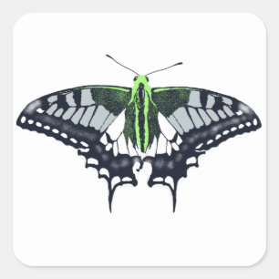Agender Flag Swallowtail Butterfly Square Sticker