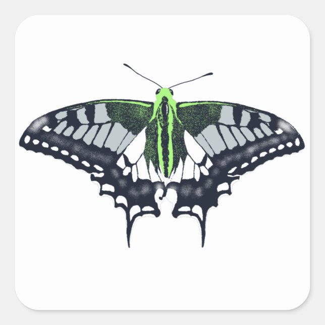 Agender Flag Swallowtail Butterfly Square Sticker (Front)