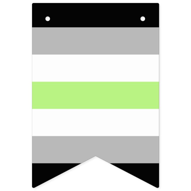 Agender Pride Flag – Agender Identity LGBTQIA+  (Sixteenth Flag)