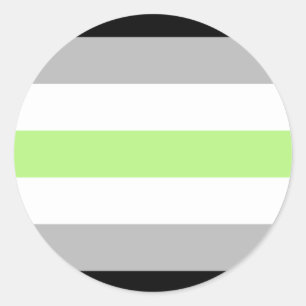 Agender Pride Flag Classic Round Sticker