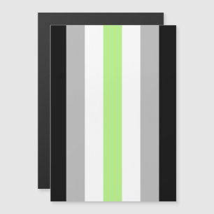 Agender Pride Flag Magnetic Invitation