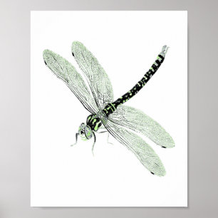 Agender Pride Vintage Dragonfly Art Poster