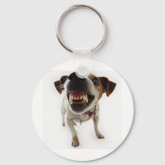 aggressive key ring