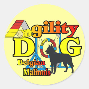 Agility Belgian Malinois Gifts Stickers