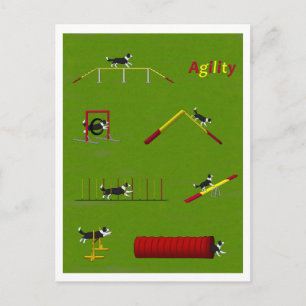 Agility Border Collie Postcard