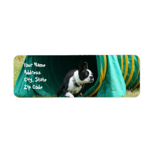 Agility Boston Terrier Address Labels