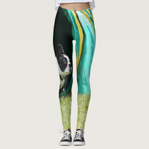 Agility Boston Terrier dog art leggings