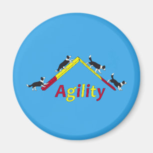 Agility dog magnet